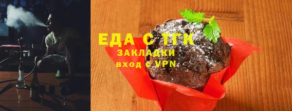 первитин Гусев