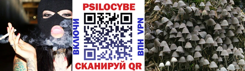 Купить где  Колпашево  Псилоцибиновые грибы Psilocybe 